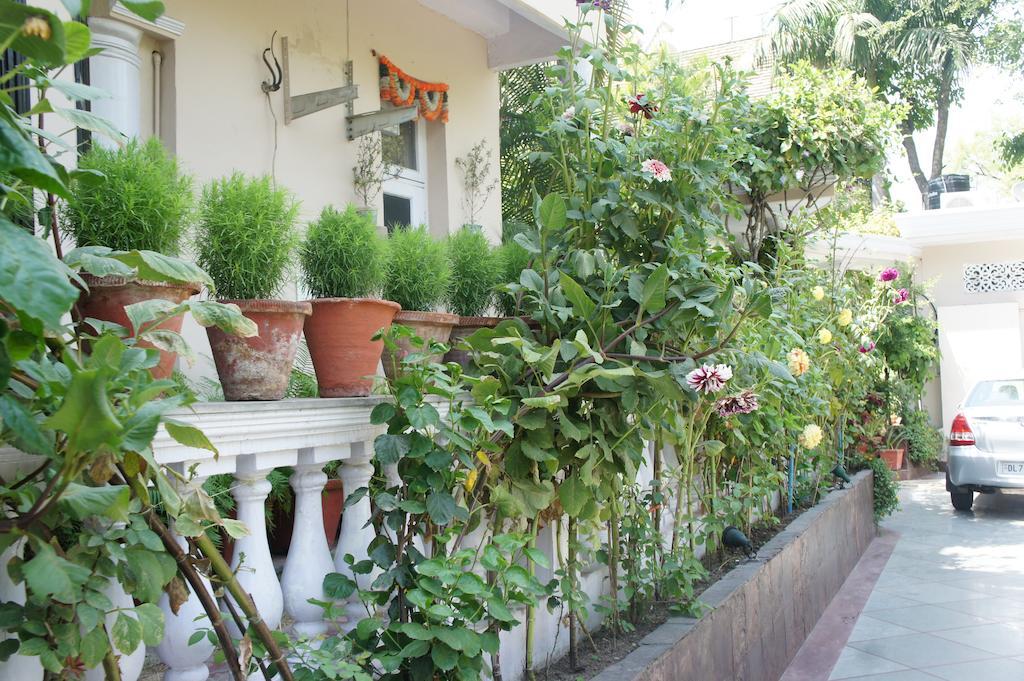Sirohi House Nové Dillí Exteriér fotografie